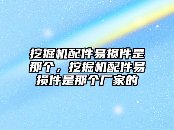 挖掘機配件易損件是那個，挖掘機配件易損件是那個廠家的