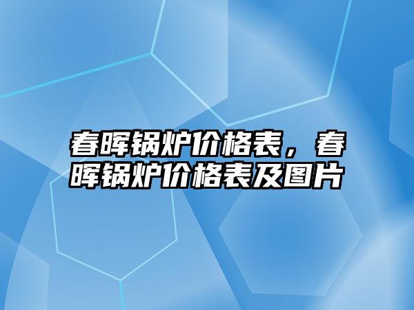 春暉鍋爐價格表，春暉鍋爐價格表及圖片