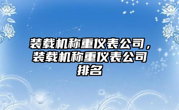 裝載機(jī)稱重儀表公司，裝載機(jī)稱重儀表公司排名