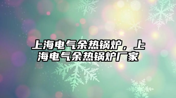 上海電氣余熱鍋爐，上海電氣余熱鍋爐廠家