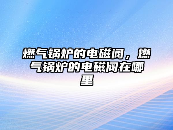 燃?xì)忮仩t的電磁閥，燃?xì)忮仩t的電磁閥在哪里