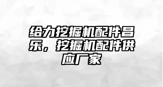 給力挖掘機配件昌樂，挖掘機配件供應(yīng)廠家