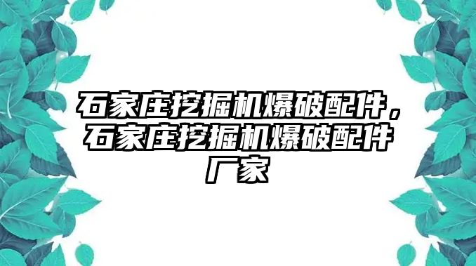 石家莊挖掘機(jī)爆破配件，石家莊挖掘機(jī)爆破配件廠家