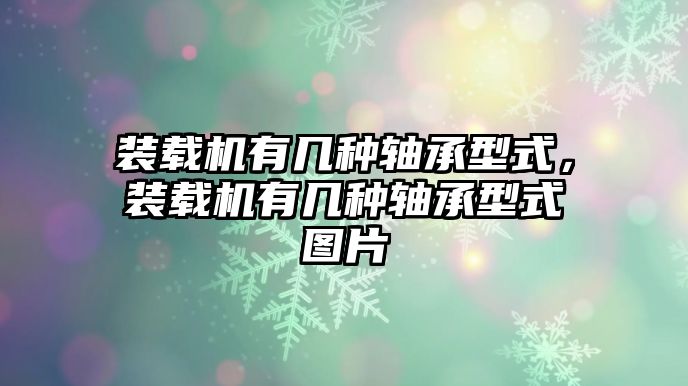 裝載機(jī)有幾種軸承型式，裝載機(jī)有幾種軸承型式圖片