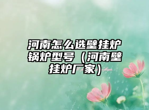 河南怎么選壁掛爐鍋爐型號(hào)（河南壁掛爐廠家）