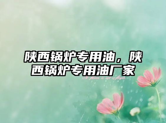 陜西鍋爐專用油，陜西鍋爐專用油廠家