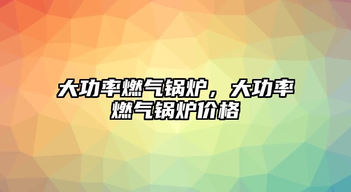 大功率燃?xì)忮仩t，大功率燃?xì)忮仩t價格