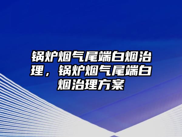 鍋爐煙氣尾端白煙治理，鍋爐煙氣尾端白煙治理方案