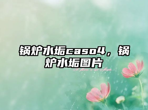 鍋爐水垢caso4，鍋爐水垢圖片