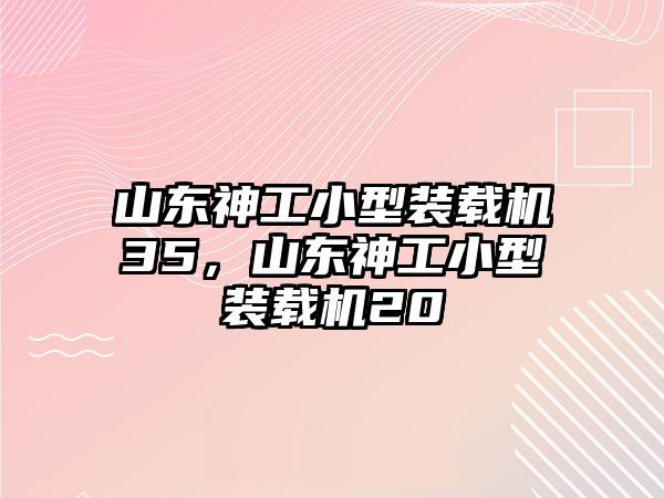 山東神工小型裝載機(jī)35，山東神工小型裝載機(jī)20