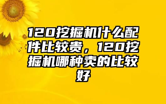 120挖掘機(jī)什么配件比較貴，120挖掘機(jī)哪種賣的比較好