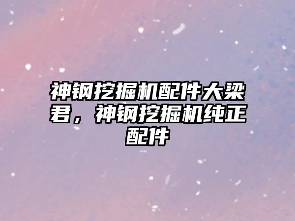 神鋼挖掘機配件大梁君，神鋼挖掘機純正配件