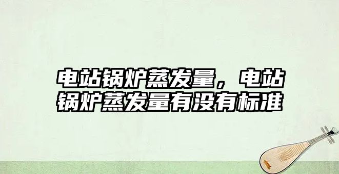 電站鍋爐蒸發(fā)量，電站鍋爐蒸發(fā)量有沒有標(biāo)準(zhǔn)