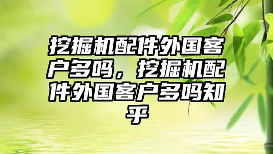 挖掘機配件外國客戶多嗎，挖掘機配件外國客戶多嗎知乎