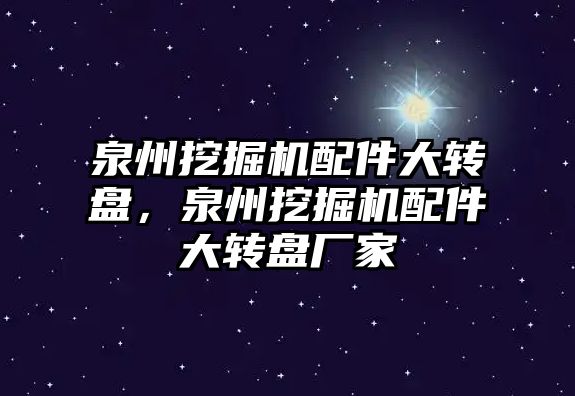 泉州挖掘機配件大轉盤，泉州挖掘機配件大轉盤廠家