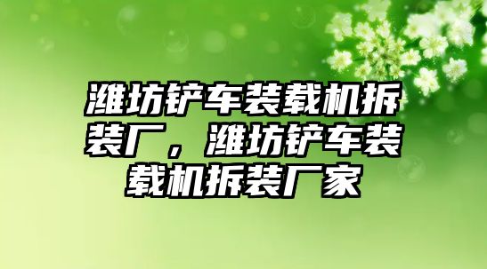 濰坊鏟車裝載機拆裝廠，濰坊鏟車裝載機拆裝廠家