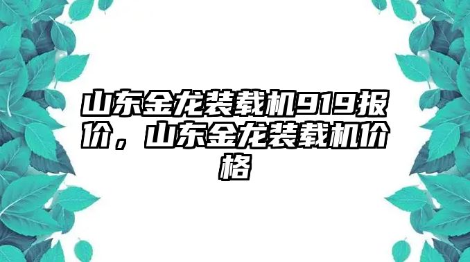 山東金龍裝載機919報價，山東金龍裝載機價格