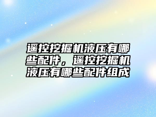 遙控挖掘機液壓有哪些配件，遙控挖掘機液壓有哪些配件組成