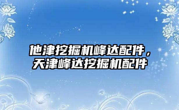 他津挖掘機峰達配件，天津峰達挖掘機配件