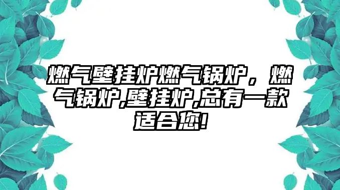 燃氣壁掛爐燃氣鍋爐，燃氣鍋爐,壁掛爐,總有一款適合您!