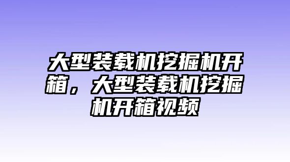 大型裝載機挖掘機開箱，大型裝載機挖掘機開箱視頻