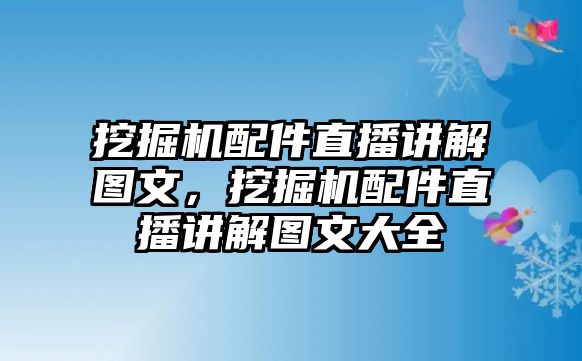 挖掘機(jī)配件直播講解圖文，挖掘機(jī)配件直播講解圖文大全