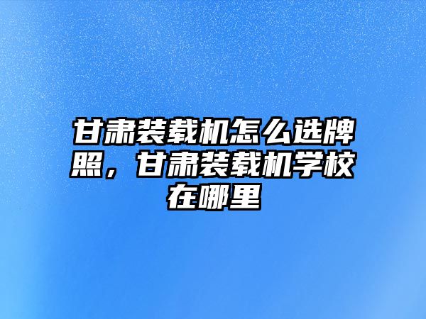 甘肅裝載機怎么選牌照，甘肅裝載機學(xué)校在哪里