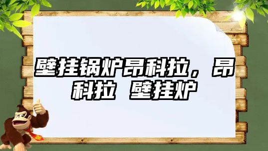 壁掛鍋爐昂科拉，昂科拉 壁掛爐