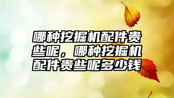 哪種挖掘機配件貴些呢，哪種挖掘機配件貴些呢多少錢