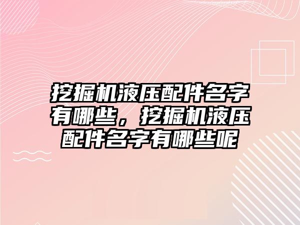 挖掘機液壓配件名字有哪些，挖掘機液壓配件名字有哪些呢