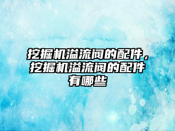 挖掘機溢流閥的配件，挖掘機溢流閥的配件有哪些