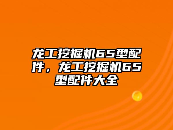 龍工挖掘機(jī)65型配件，龍工挖掘機(jī)65型配件大全