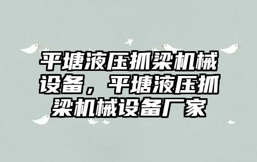 平塘液壓抓梁機械設(shè)備，平塘液壓抓梁機械設(shè)備廠家