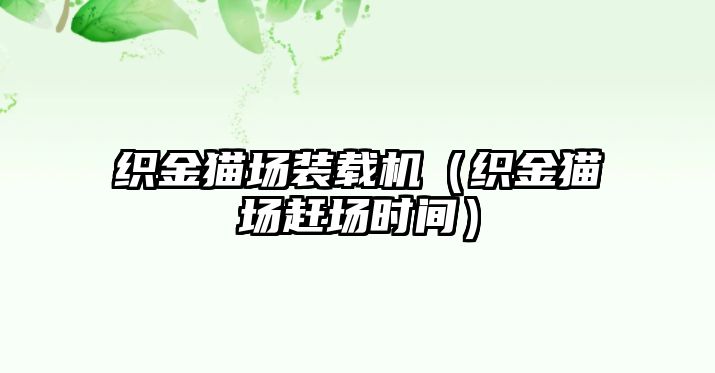 織金貓場裝載機(jī)（織金貓場趕場時(shí)間）