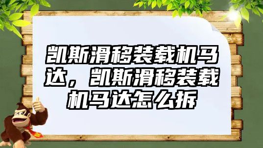 凱斯滑移裝載機馬達，凱斯滑移裝載機馬達怎么拆