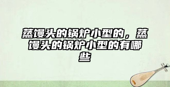 蒸饅頭的鍋爐小型的，蒸饅頭的鍋爐小型的有哪些