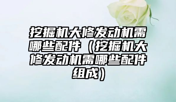 挖掘機大修發(fā)動機需哪些配件（挖掘機大修發(fā)動機需哪些配件組成）