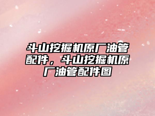 斗山挖掘機原廠油管配件，斗山挖掘機原廠油管配件圖