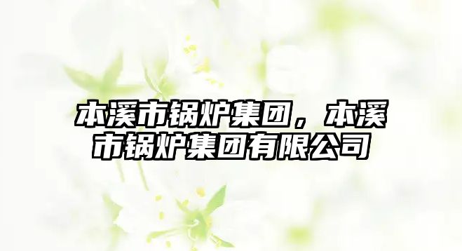 本溪市鍋爐集團(tuán)，本溪市鍋爐集團(tuán)有限公司