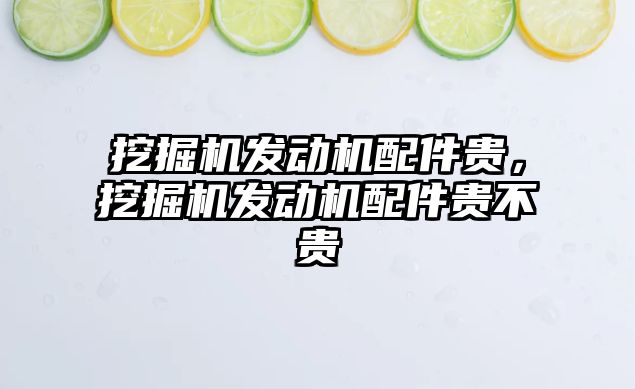 挖掘機發(fā)動機配件貴，挖掘機發(fā)動機配件貴不貴