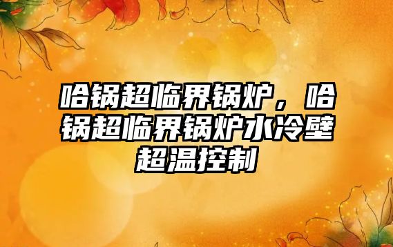 哈鍋超臨界鍋爐，哈鍋超臨界鍋爐水冷壁超溫控制