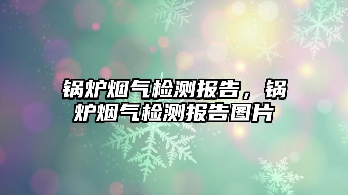 鍋爐煙氣檢測(cè)報(bào)告，鍋爐煙氣檢測(cè)報(bào)告圖片