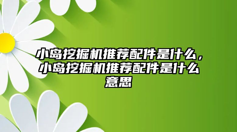 小島挖掘機推薦配件是什么，小島挖掘機推薦配件是什么意思