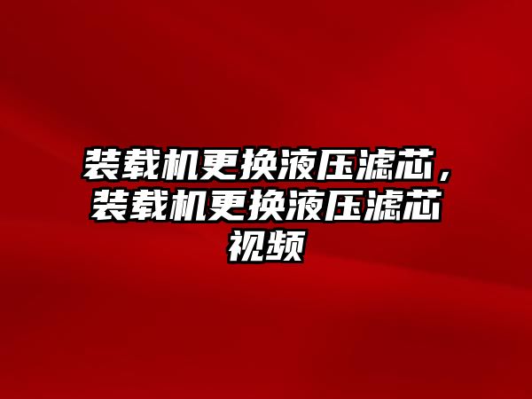 裝載機更換液壓濾芯，裝載機更換液壓濾芯視頻