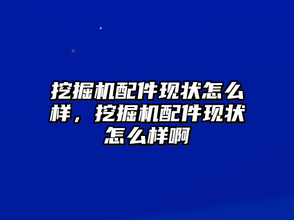 挖掘機(jī)配件現(xiàn)狀怎么樣，挖掘機(jī)配件現(xiàn)狀怎么樣啊