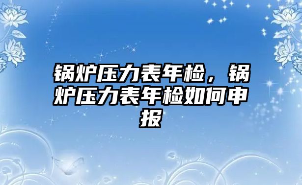 鍋爐壓力表年檢，鍋爐壓力表年檢如何申報(bào)