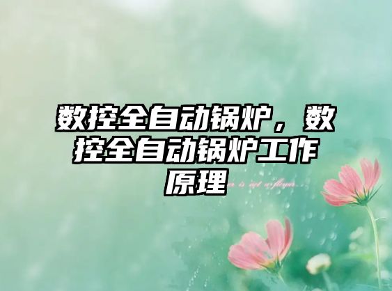 數(shù)控全自動鍋爐，數(shù)控全自動鍋爐工作原理