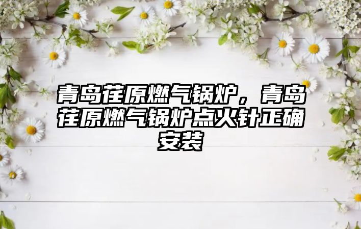 青島荏原燃?xì)忮仩t，青島荏原燃?xì)忮仩t點(diǎn)火針正確安裝