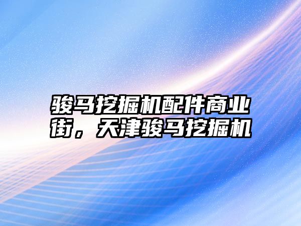 駿馬挖掘機配件商業(yè)街，天津駿馬挖掘機