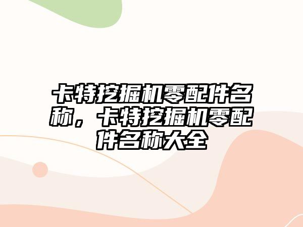 卡特挖掘機零配件名稱，卡特挖掘機零配件名稱大全